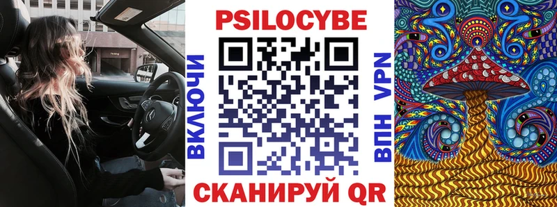 Галлюциногенные грибы мицелий  MEGA вход  даркнет официальный сайт  Камень-на-Оби 